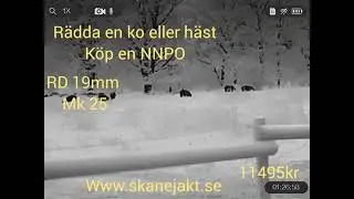 NNPO RD23S/319