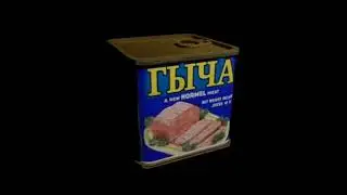 Гыча крутится под e6eйшee диско