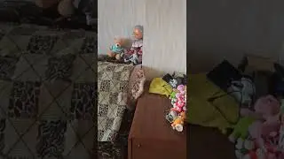 Квартира 3х кімнатна, поруч з метро оболонь. в оренду.