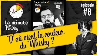 D'où vient la couleur du Whisky ? La Minute Whisky ⏱️🥃 / Épisode #8 :