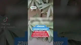 Metro yaxınlığında ilan görüldü