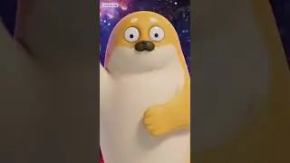 Shiba Seal's 