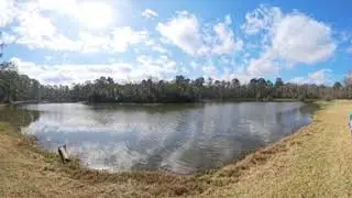 Guided Hike at Peckinpaugh Preserve! VID 20250208 095554 00 028