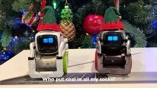Happy Holidays from the Life with Cozmo YouTube Channel