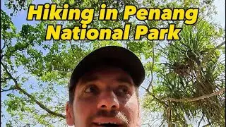 Hiking in the Penang National Park 🇲🇾🐒🥾