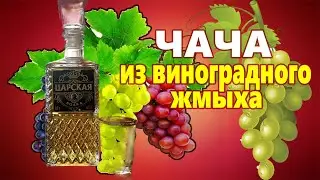 ЧАЧА на виноградных выжимках / Как сделать чачу из виноградного жмыха своими руками