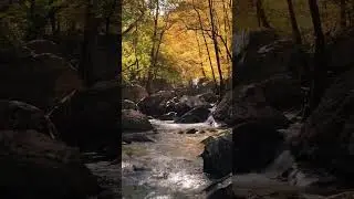 Ambient neoclassical piano music 2022. Great music for relax #shorts #ambient #meditation