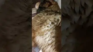 Плевать на дождь 