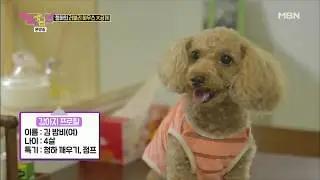 180914 MBN 현실남녀2 - Bambi ft.Chungha