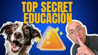 Lo que NECESITAS para ENTRENAR a tu PERRO y que OBEDEZCA