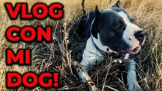 VLOG con mi DOG - ¡Así Disfruta Mi Perro del Campo!
