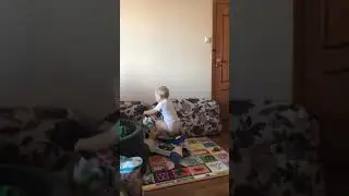 Тима на корове 1