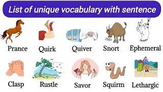 List Of Vocabulary With pictures | Vocabulary With Sentence | Daily Use English Words