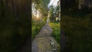 11 июня 2024 г.