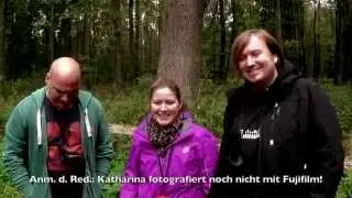 Urwald Sababurg - 
