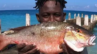 Catch, Of The Year - Spearfishing With Odane 