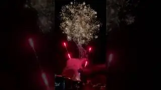 17 de noviembre de 2023
