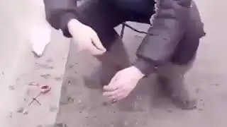 Если к вам не пришла зима.