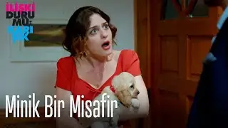 Minik bir misafir 🐶