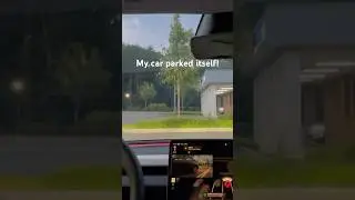 FSD went and found a parking spot!