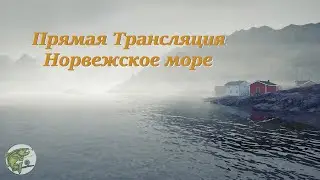 Русская рыбалка 4! Норвежское море! Фарм со ставками!