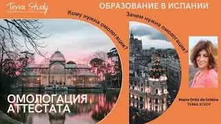 Омологация аттестатов в Испании 2024