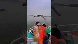 Невероятно красивое видео 💦