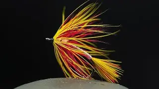 Try THIS Fall Wet Fly! (Mickey Finn)