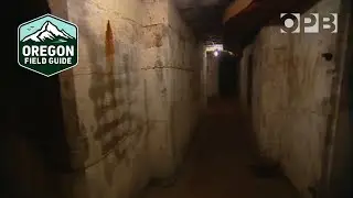 The mysterious tunnels of Fort Stevens, Oregon | Oregon Field Guide from the OPB Archives