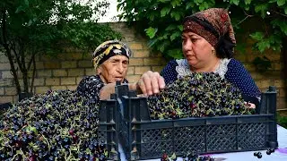 Grandma Rose With Black Current Jam and Pie Making|Village life