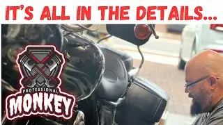 Amazing Harley Davidsons Are Out There, And You NEED ONE!