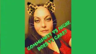COMMUNITY VS NICHE? WHAT IS YOURS?? DOES YOUTUBE CARE?