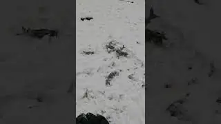 Река Ямбукан.