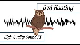 Owl Hooting Sound Effect | High-Quality Sound FX