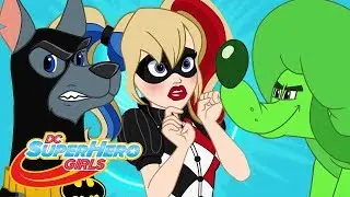 Harley von Geistern gejagt | Die Haustiere sind verschwunden | DC Super Hero Girls auf Deutsch