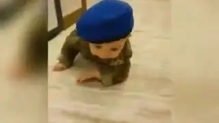 BORDO BERELİ DOĞMUŞ YAVRU KURT