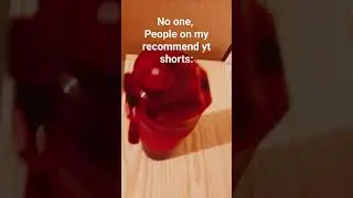 people on my recommend be like: #ytshorts #viral