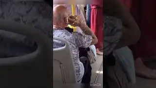 В городе, где разводят мосты. Молитесь бораты. Там кресты🔥🔝