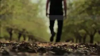 Glitch (VFX Short)
