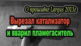 Прошивка Ларгус и замена катализатора на пламегаситель