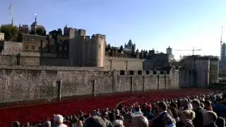 Tower of London - poppies to mark 100 years since WW1