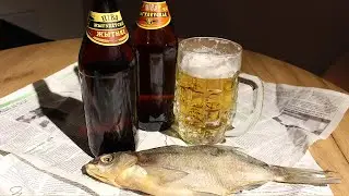 Uncovering Retro Beer: How Communist Beer from the 1980s Could Surprise You