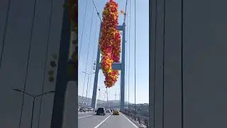 8 Mart Dünya Kadınlar Günü Kutlu Olsun #istabul