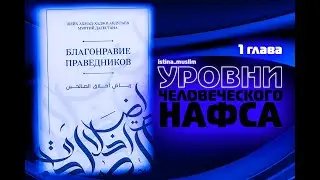 3.УРОВНИ ЧЕЛОВЕЧЕСКОГО НАФСА(1 глава)