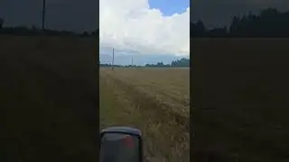 сенокос на этот год закончен🌼 