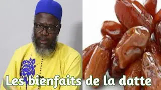 OUSTAZ OUMAR SALL H.A: LES BIENFAITS DE LA DATTE