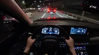 2021 Hyundai Palisade 2.2 CRDi(Diesel) AWD POV night drive