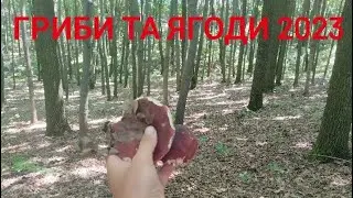 поїздка по гриби та ягоди 