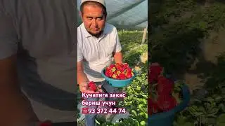 🍓🍓🍓🍓❤️❤️❤️❤️❤️