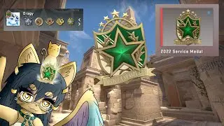Getting Green 2022 Service medal Tier 2 | CSGO
